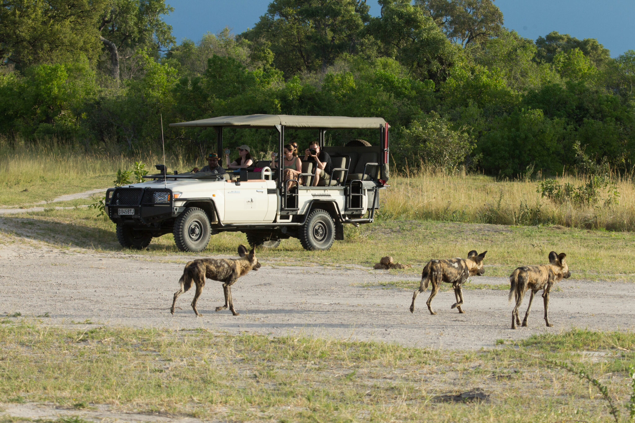 Explore Botswana With Keya Botswana Unforgettable Adventures