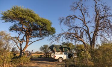 Self- Drive Guided Tours