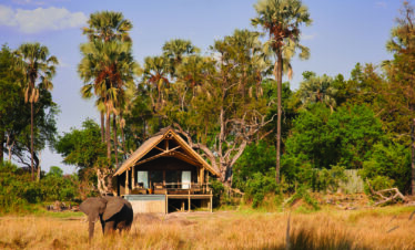 Wonders Of Okavango and Savute